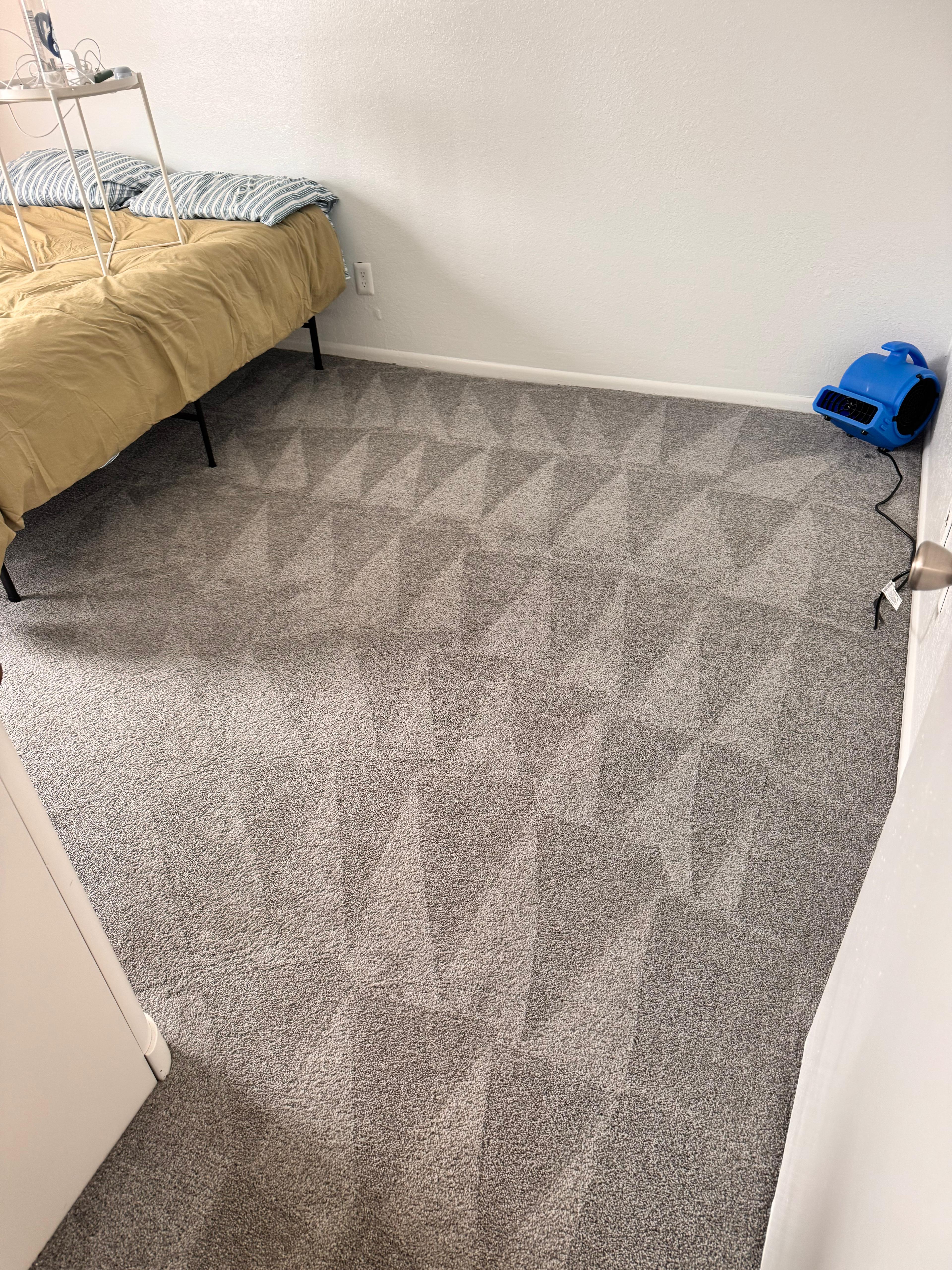 Carpet cleaning service